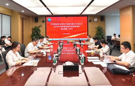 水电集团党委召开2026年党的建设暨党风廉政建设和反腐败工作会