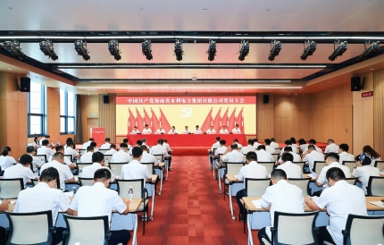 凝心聚力启新程，实干担当谱新篇 海南省水利电力集团有限公司党员大会胜利召开