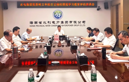 水电集团召开树立和践行正确政绩观学习教育评估座谈会