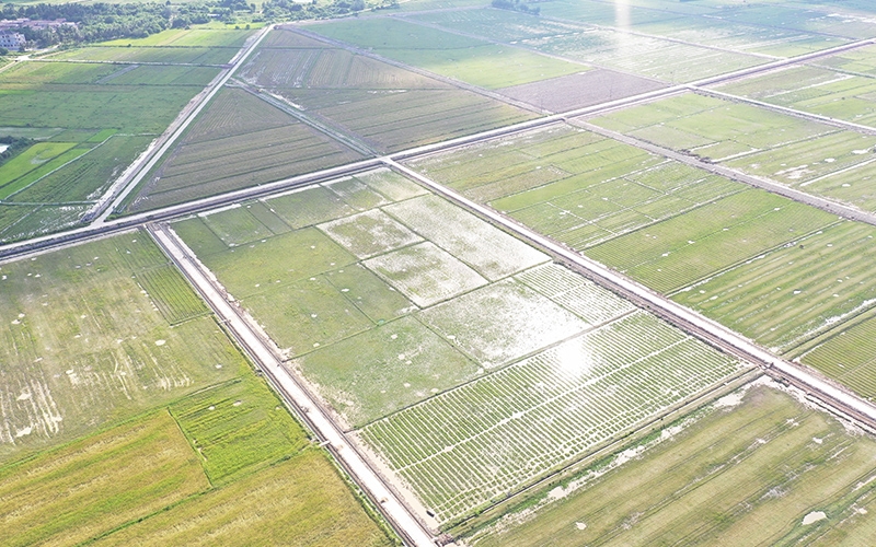 十座大中型水库除险加固工程