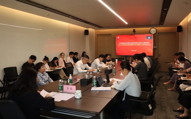 水电集团机关党支部召开年度基层党组织组织生活会和民主评议党员会议