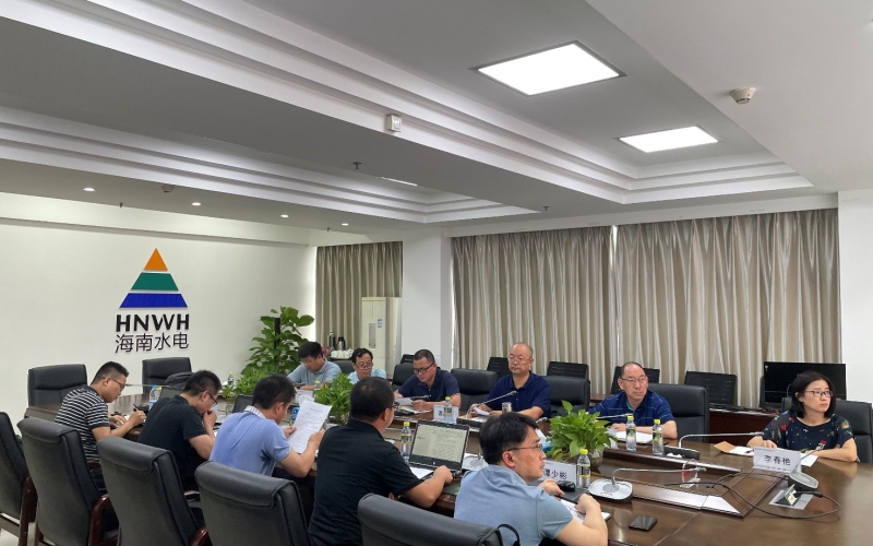 水电集团召开昌化江水资源配置项目设计工作推进会