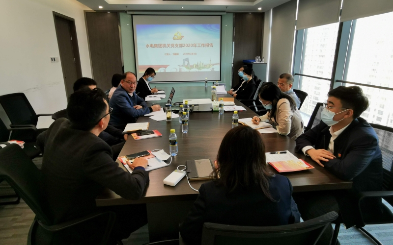 水电集团机关党支部召开组织生活会暨民主评议党员大会