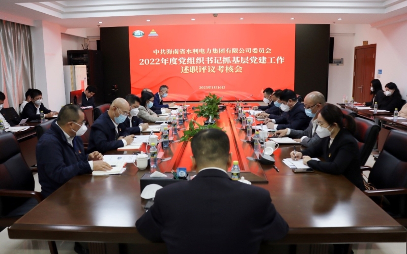 水电集团党委组织召开2022年度党组织书记抓基层 党建工作述职评议考核会