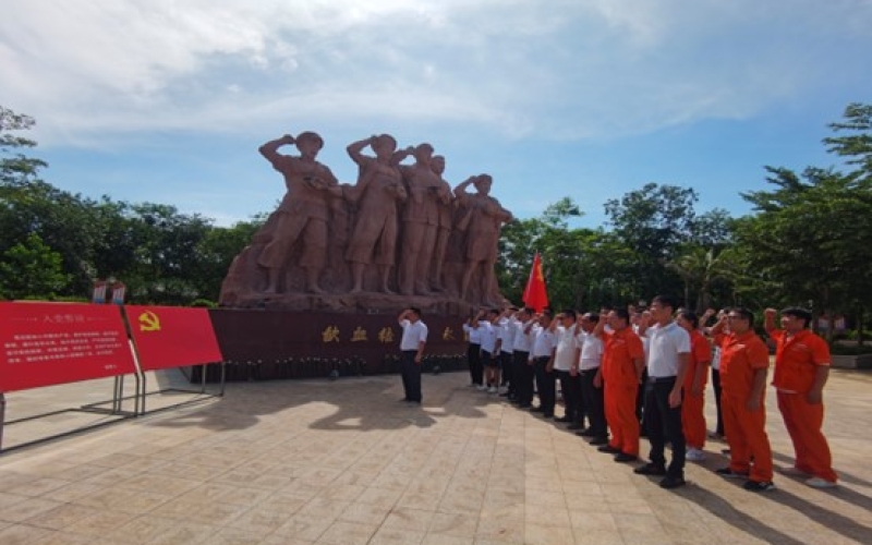 忆党史，守初心，当先锋
