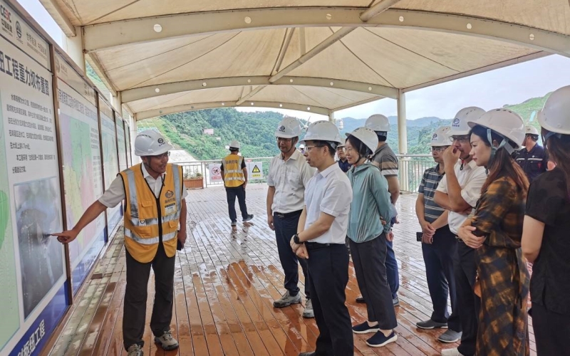 水利部珠江委员会到迈湾水利枢纽工程检查指导工作