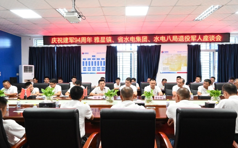 庆八一，聚合力，促发展，水电集团开展企地党建共建活动