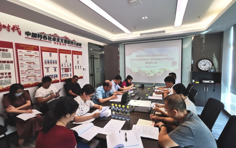 水电集团机关党支部召开党史学习教育专题组织生活会