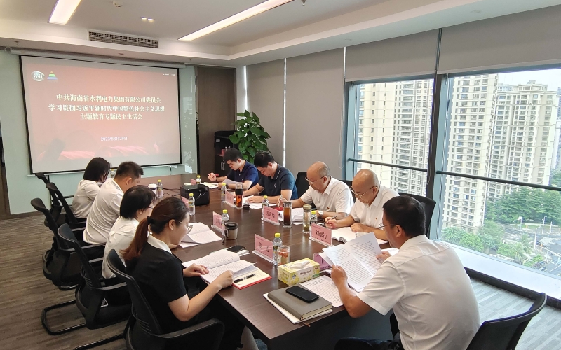 水电集团党委班子召开学习贯彻习近平新时代中国特色社会主义思想主题教育 专题民主生活会