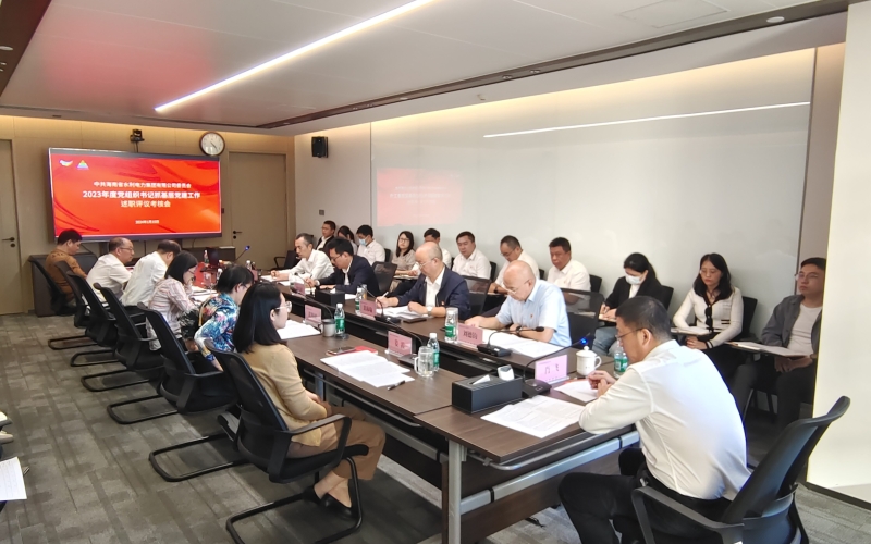 水电集团党委组织召开2023年度党组织书记抓基层党建工作述职评议考核会