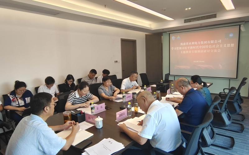 水电集团党委组织召开学习贯彻习近平新时代中国特色社会主义思想主题教育专题调研研讨交流会