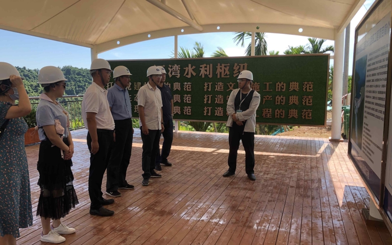 水电集团邀请专家检查指导公司质量安全管理工作