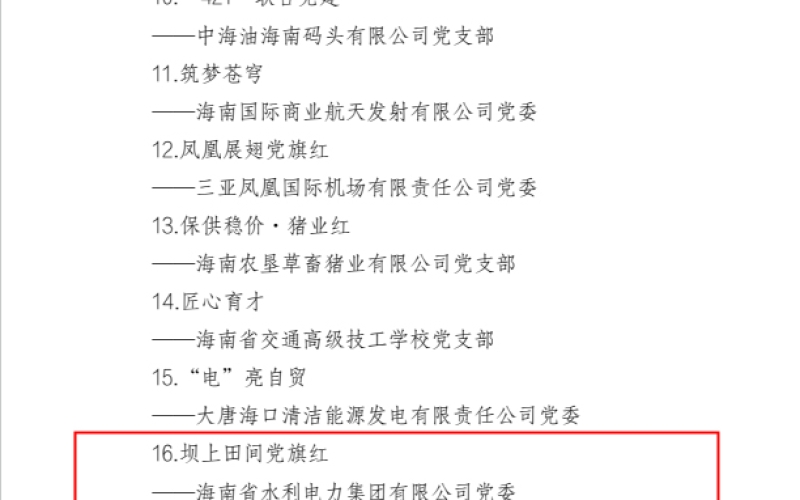 水电集团党建品牌再创佳绩，荣获“第二批海南自贸港国企党建品牌”称号