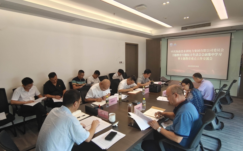 水电集团党委召开专题民主生活会会前集中学习暨主题教育重点工作交流会