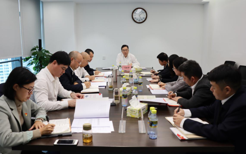水电集团党委召开党史学习教育专题民主生活会 马咏华到会指导