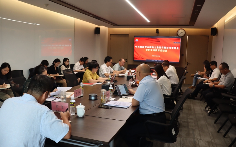 水电集团召开党纪学习教育总结会