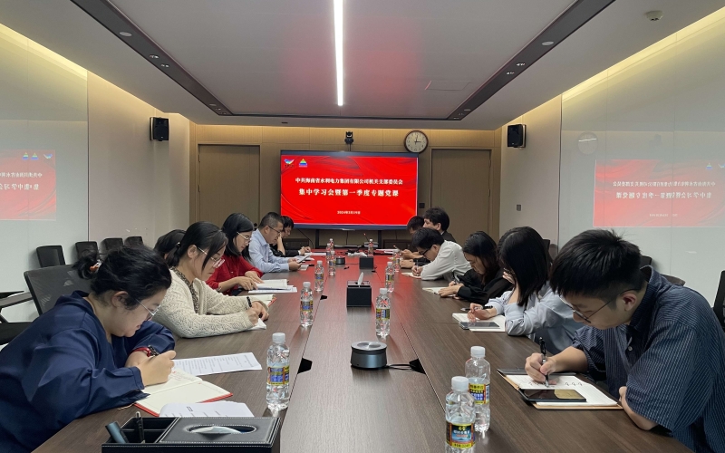 水电集团机关党支部召开集中学习会暨一季度专题党课