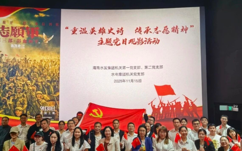 “重温英雄史诗，传承志愿精神”海南水发组织开展主题党日观影活动