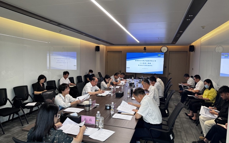 水电集团组织召开2024年第一季度安全生产委员会会议
