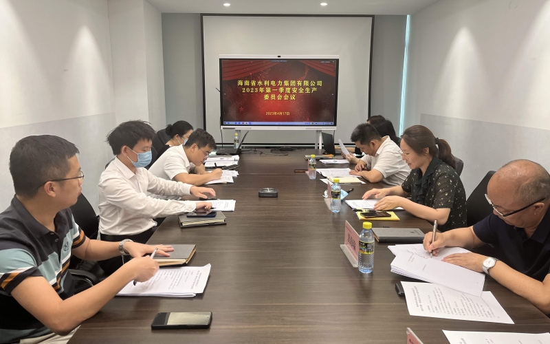 水电集团召开2023年第一季度安全生产委员会会议