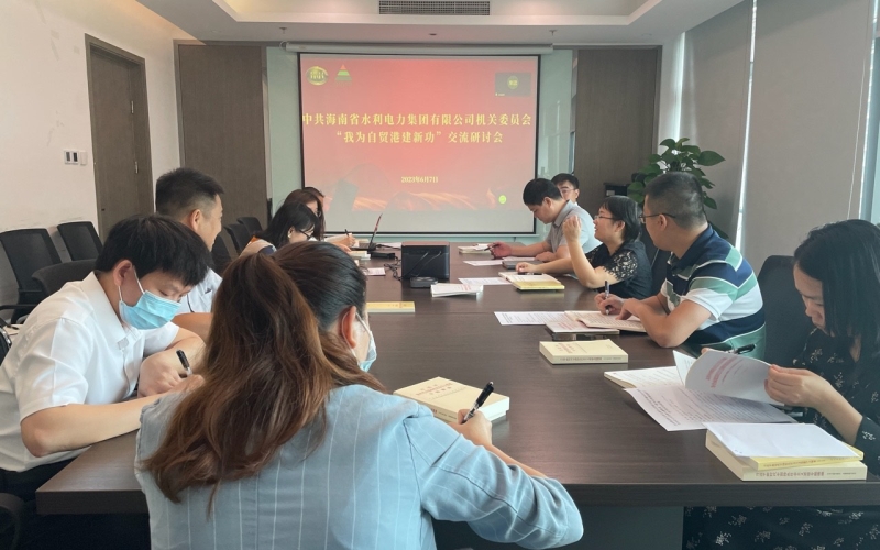 水电集团机关党支部召开学习贯彻习近平新时代中国特色社会主义思想主题教育“我为自贸港建新功” 学习研讨会