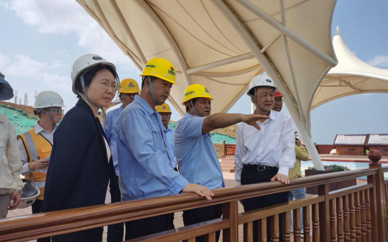 省水务厅厅长王强到天角潭水利枢纽工程检查指导工作