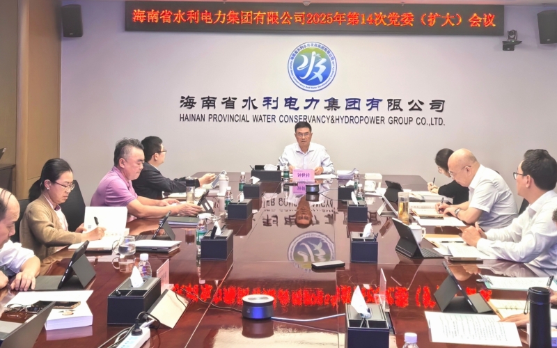 水电集团传达学习党的二十届四中全会精神