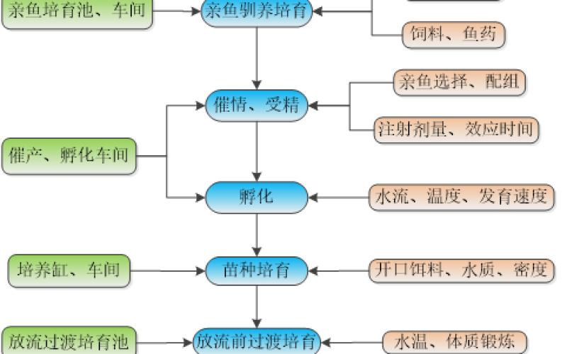 海南省水利电力集团有限公司关于海南省南渡江迈湾水利枢纽工程2026年鱼类增殖站运营技术服务项目投标邀请书