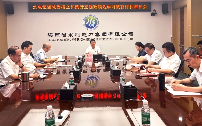 水电集团召开树立和践行正确政绩观学习教育评估座谈会