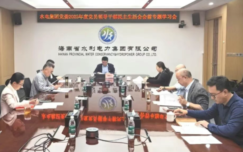 水电集团党委开展2025年度党员领导干部民主生活会前集体学习