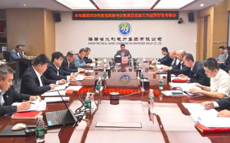 水电集团党委召开2025年度党组织抓基层党建工作述职评议会